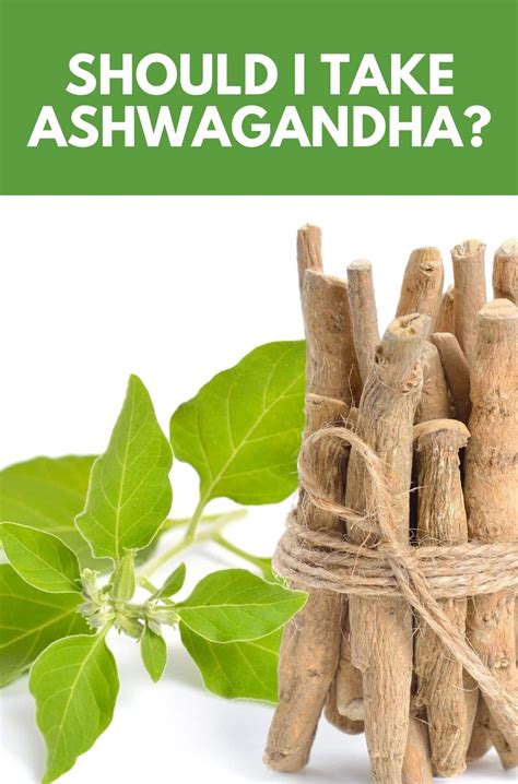 5mg withanolides at 1 capsule per day), and. . Can you take ashwagandha and inositol together
